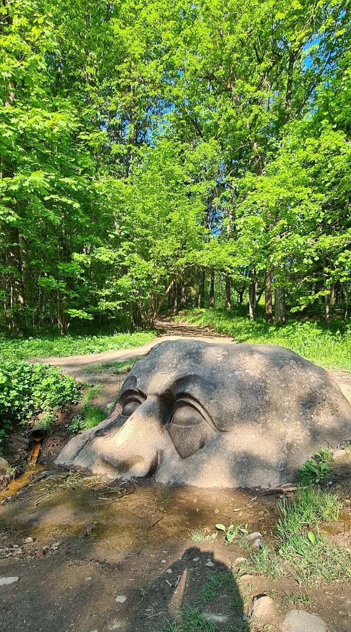 Гостевой дом Алла Петергоф-19