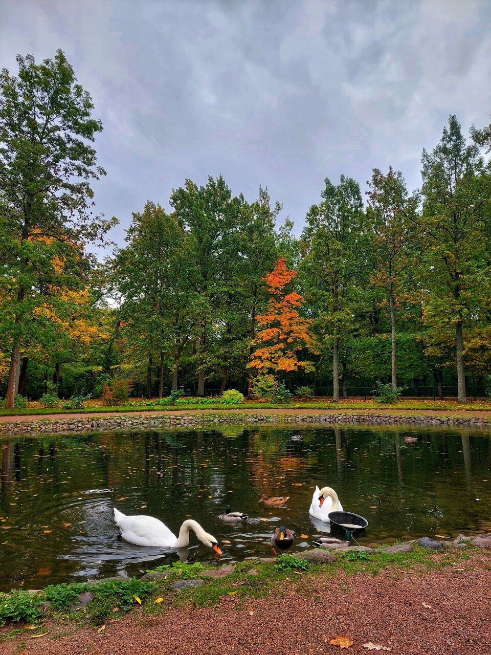 Гостевой дом Алла Петергоф-26