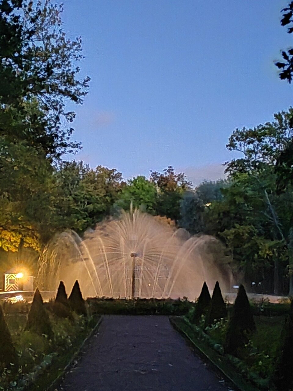 Гостевой дом Алла Петергоф-23