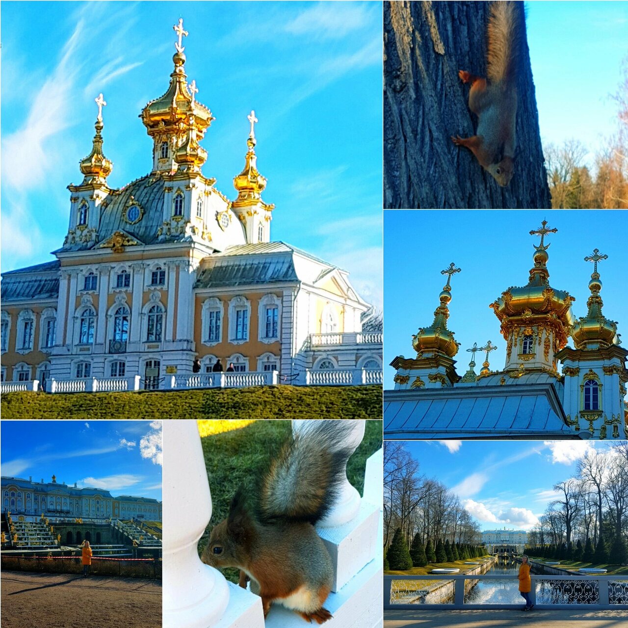 Гостевой дом Алла Петергоф-17