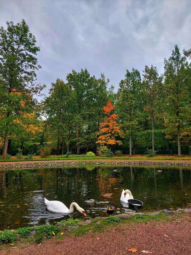 Гостевой дом Алла Петергоф-25