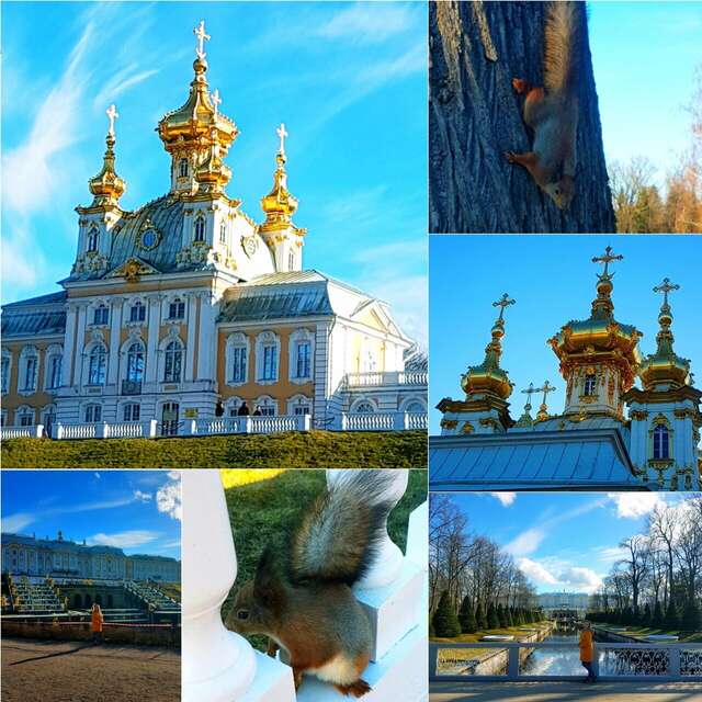 Гостевой дом Алла Петергоф-16